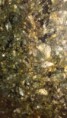 /album/produtos/a74298a67-aab3-42eb-9964-6bcb8804925b-jpg/